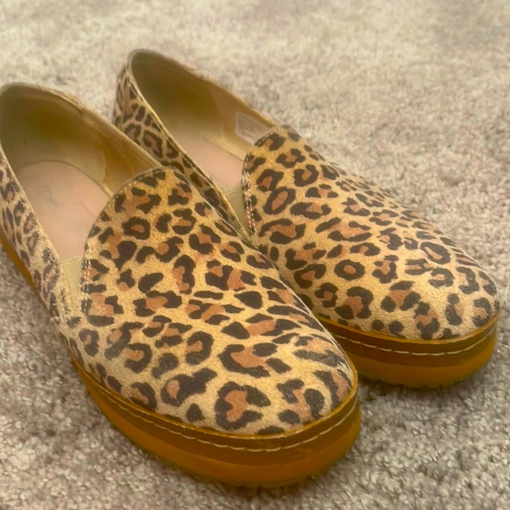 Toms slide shows.